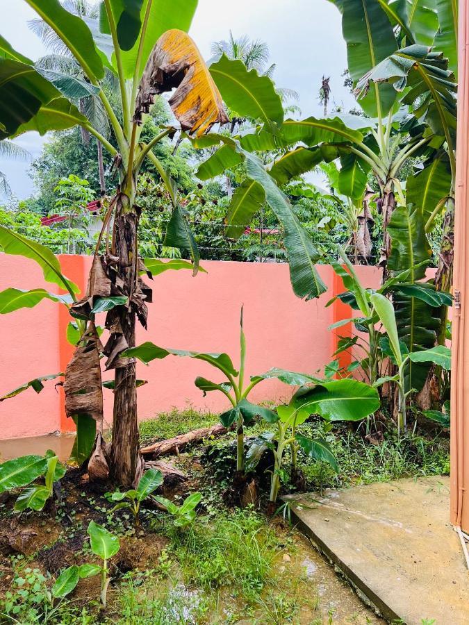 Holiday home Chateau La Princesa With Cozy Garden & Bar Puerto Princesa
