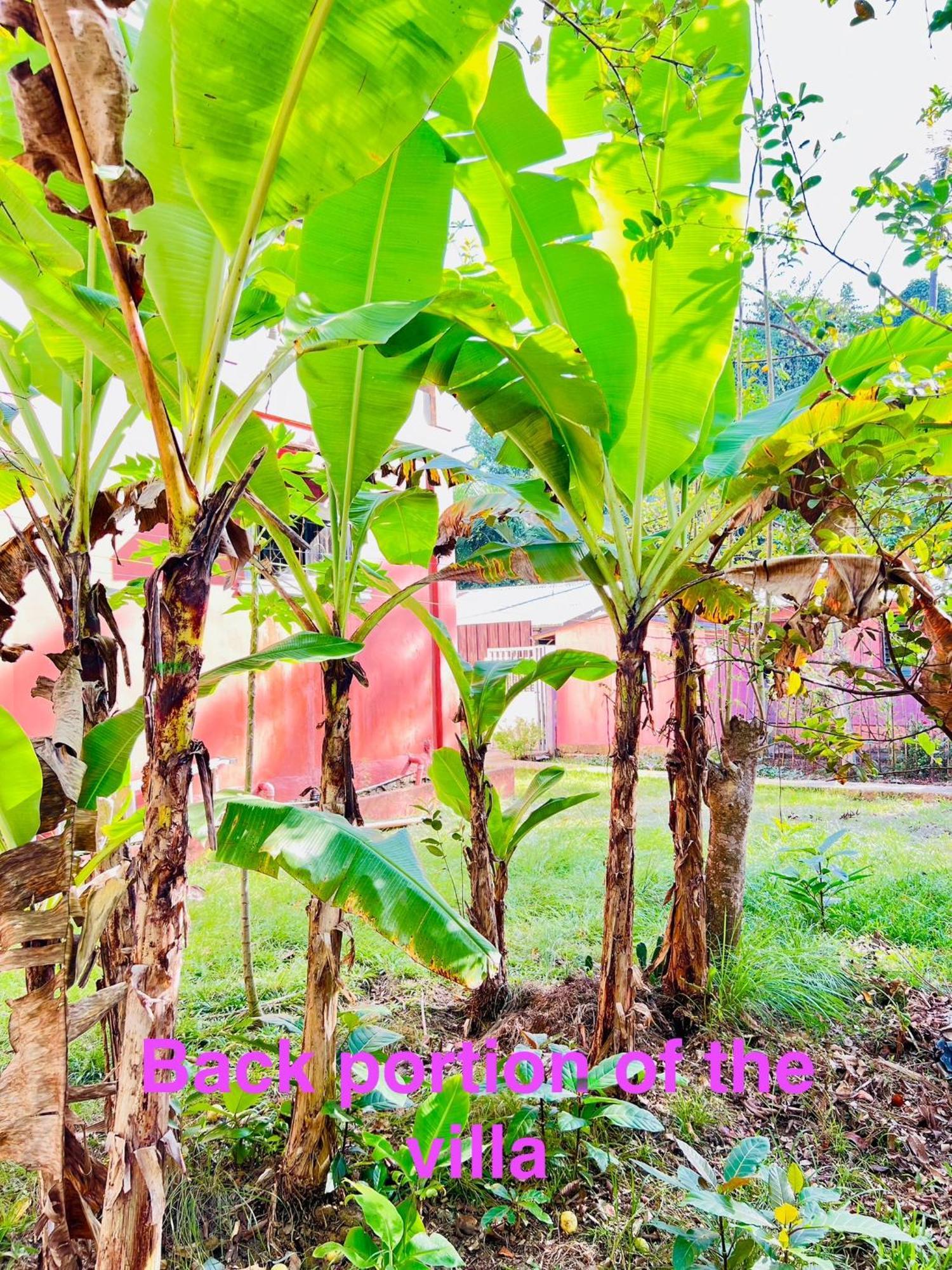 Chateau La Princesa With Cozy Garden & Bar Holiday home Puerto Princesa